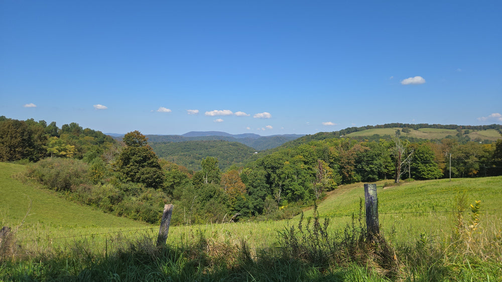 Mountain Landscape