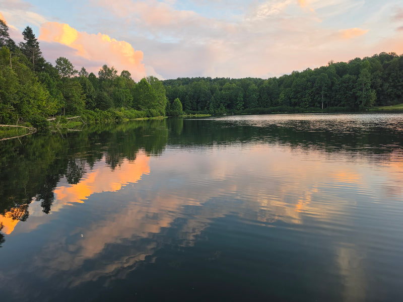 Pond at Sunset