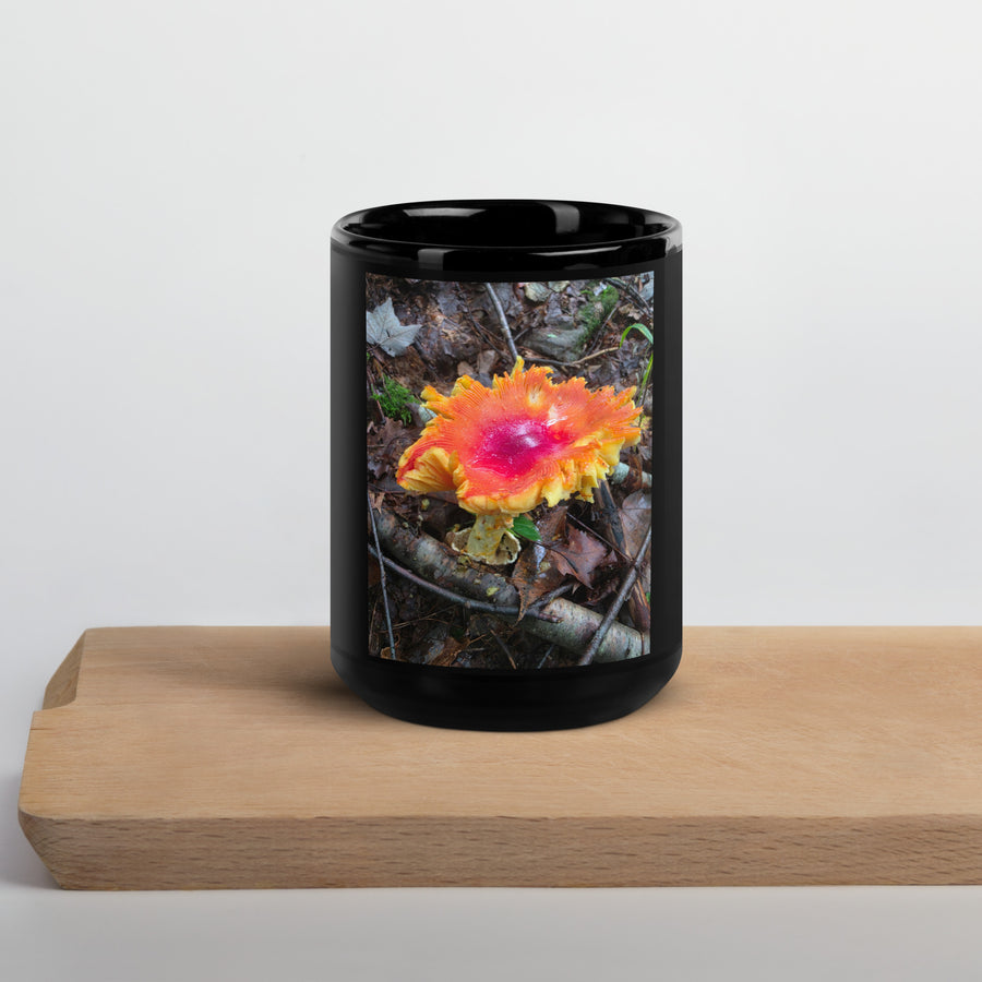 Colorful Mushroom On Black Glossy Mug