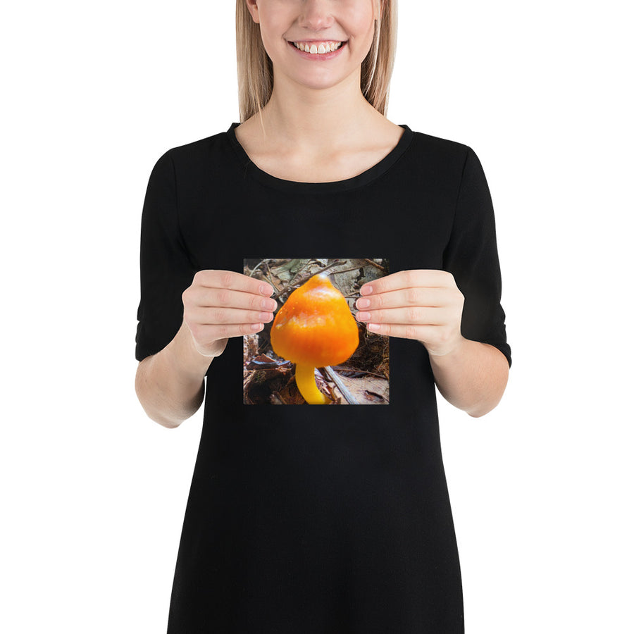 Orange Waxcap (Witch’s Hat) Canvas Wall Art