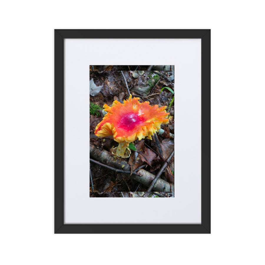 American Caesar Mushroom Framed Poster with Mat
